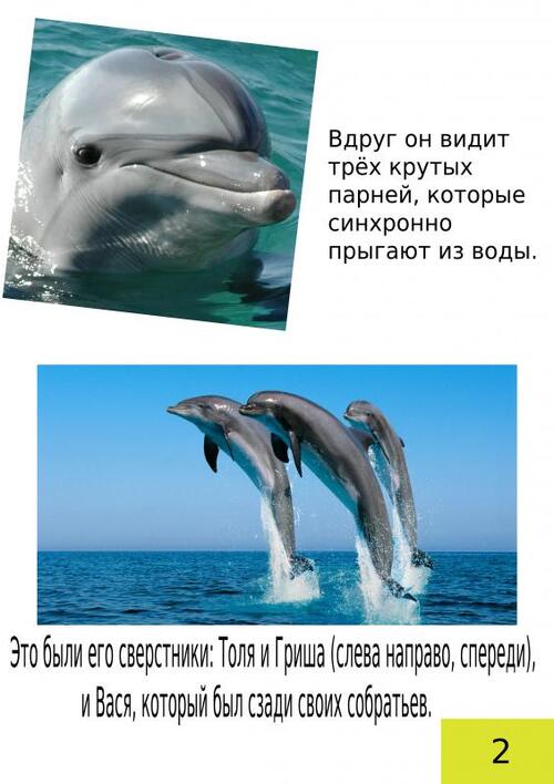 Image description
